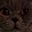 Reanimated_Character's avatar