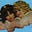 CCB's avatar