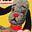 Maxine Hayes's avatar