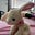nyanbiohl's avatar