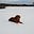Lis_Chapman's avatar