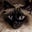 Lee Harle's avatar