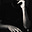 Rukmunal Hakim's avatar