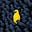 Stoic Ashes's avatar