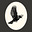 Rebecca E Morris's avatar