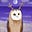 owl's avatar