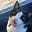 Ishi's avatar