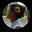 Tammy Wincott's avatar
