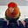 this thing on…?'s avatar