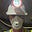 Arnaud Deutsch's avatar