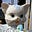 YM's avatar