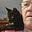 John M Poltrack's avatar