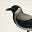 Corvus cornix's avatar