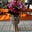 Sharon Lind's avatar