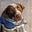 RedBeard's avatar