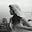 Love and decadence's avatar
