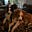 Dog Mom's avatar
