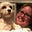 Liz Collinson's avatar
