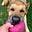 Chris Fackrell's avatar