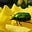 specialization is for insects🐞's avatar