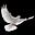 John E Rollinson's avatar