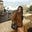 Avatar de Lidia a