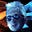 Doug Veit's avatar