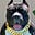 Brian Lewis's avatar