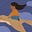Nina's avatar