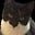 hoomnong's avatar