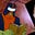 MJ's avatar
