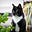 Lucy Tyas's avatar