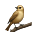 Samuel Boehlke's avatar