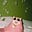 CackleMcShackles's avatar
