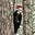 Gary W. Sherwin's avatar