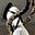 Avatar de Myriam Effert