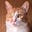 Joe Morton's avatar