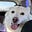 Myobubini's avatar