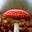 Stinkhorn's avatar