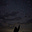 Stars in the Sky's avatar