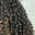 Sweetsop's avatar