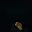 chloe's avatar