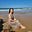 Vân Anh's avatar