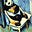 Andrew M's avatar