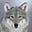 Michael Elofson's avatar
