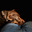 Stan Ruth's avatar