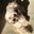 Mallen's avatar
