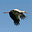 Konrad Rosenberg's avatar