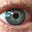 Alan Sonneman's avatar