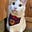 Sally Schlueter's avatar